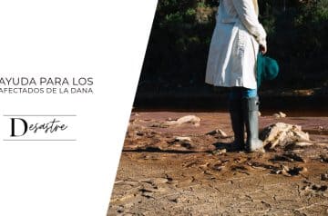 Ayuda para los afectados de la DANA